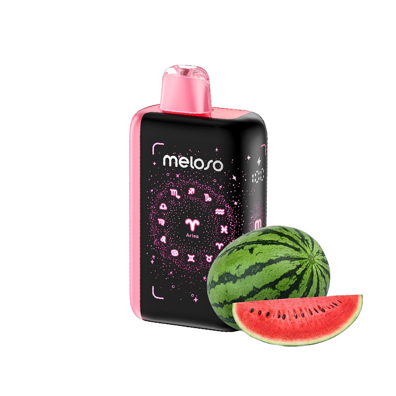 Geek Bar Meloso Bar - Disposable Vapes (5% - 30,000 Puffs) - Single - MK Distro