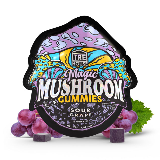 Tre house - Magic Mushroom Gummies - Nootropic Gummies (Pack of 15) - MK Distro